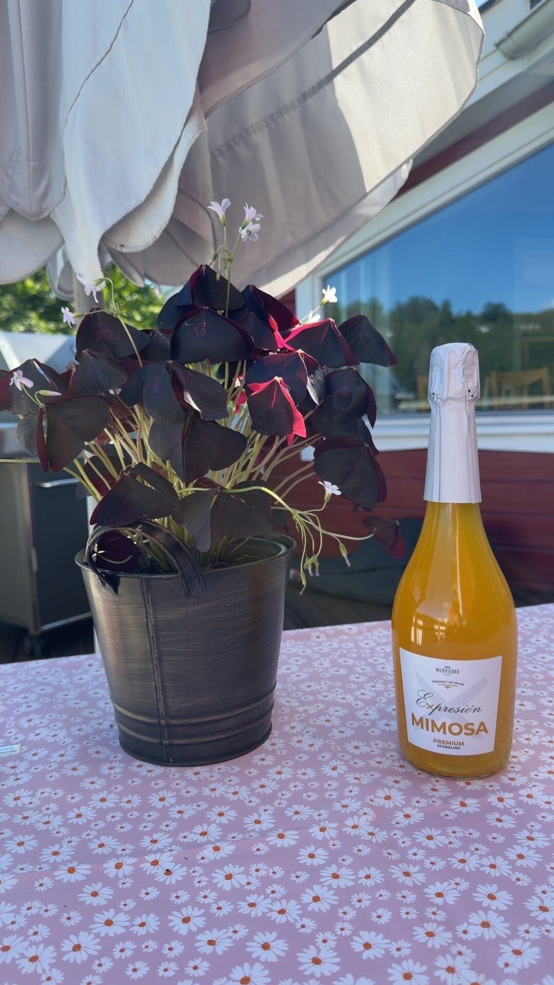 Grillmat hos familie i Drøbak
